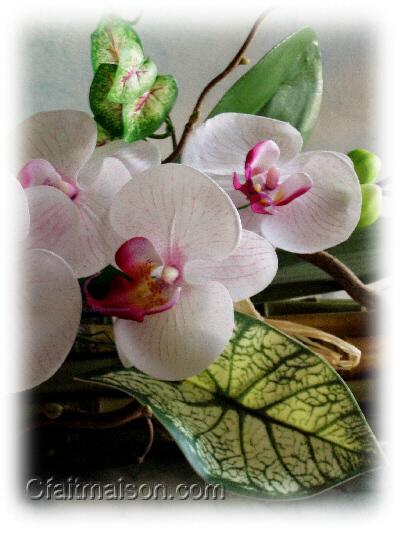 Dtail de l'orchide
