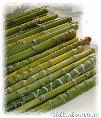 Tronons de bambou