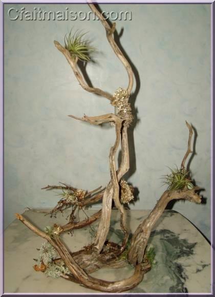 structure de branches de la sculpture vgtale