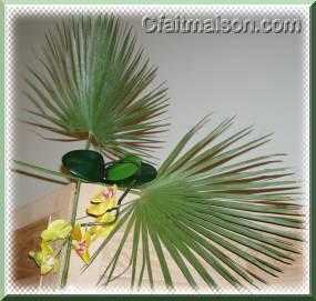 Feuilles de palmier et orchide