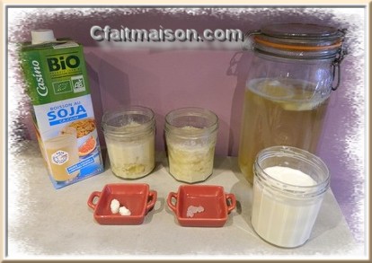 Essai de fermentation du lait de soja avec des grains de kéfir de lait, de fruit, ou la boisson kéfir de fruit